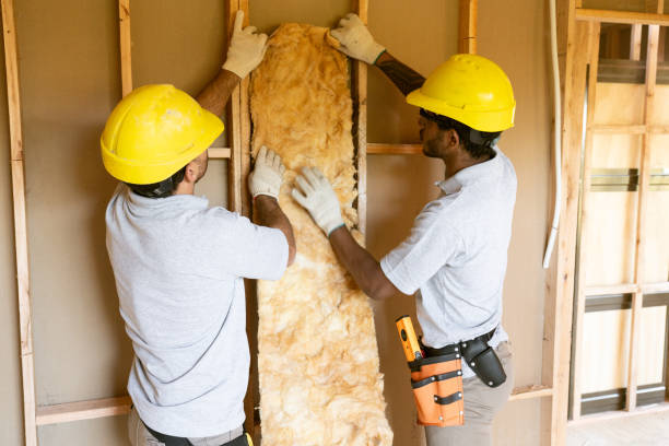 Types of Insulation We Offer in Sparks, NV